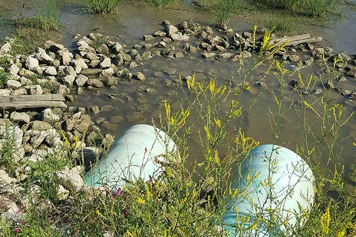 Quantifying Nutrient Retention By Lake Erie Coastal Wetlands National 
